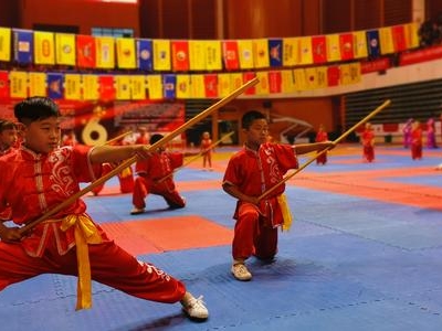 “2019年第六屆武動中原武術(shù)跆拳道大賽”開幕
