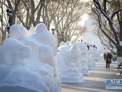 2020個(gè)雪人亮相冰城